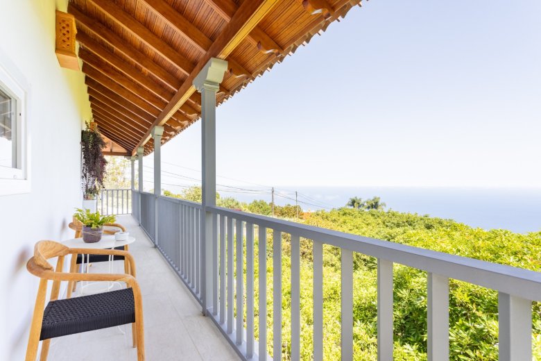 Tenerife North: Large Avocado Finca: Unique investment opportunity!