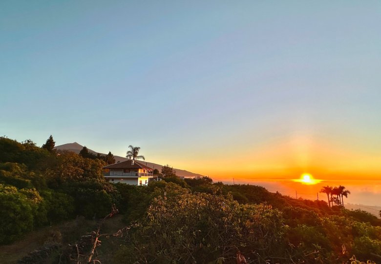 NORTH TENERIFE – Unique large finca with avocado groves, sea views and huge potential